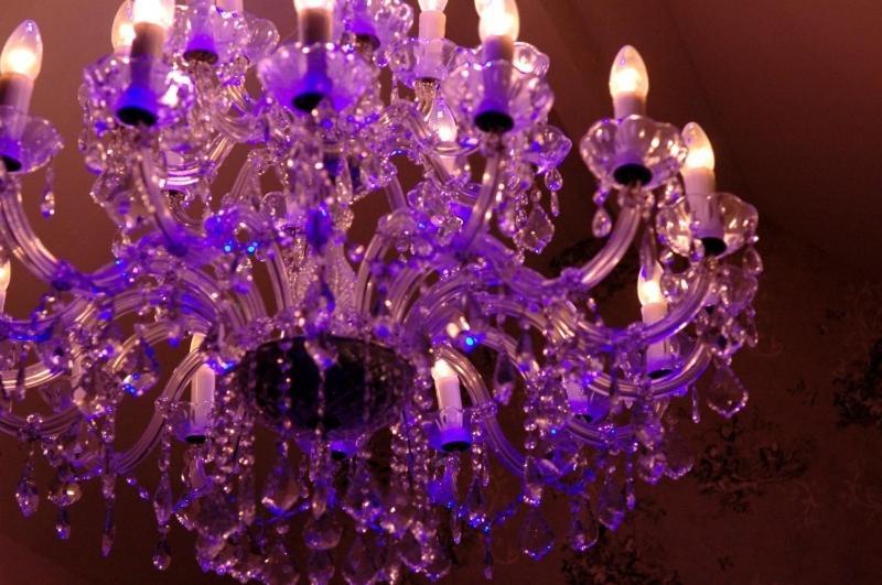 B&B Bon-Bon 'Nuit' Turnhout Zewnętrze zdjęcie